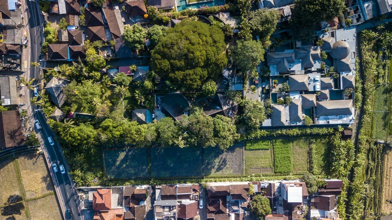 Seminyak Villa Kalyca Eksteriør billede